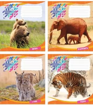 Зошит Мрії збуваються 12 аркушів клітинка Wild Life ТА5.1211.2821к