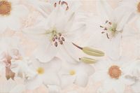 Декор Cersanit Alama beige flower