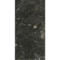 Плитка Opoczno BLACK GOLD POLISHED RECT 60x120