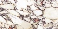 Плитка CALACATTA VIOLA NATURAL 120x120
