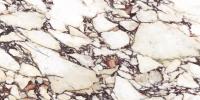 Плитка CALACATTA VIOLA NATURAL 60x120