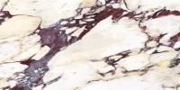 Плитка CALACATTA VIOLA POLISHED 60x120