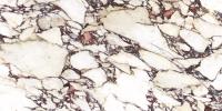 Плитка CALACATTA VIOLA POLISHED 60x120