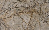 Плитка Gani Marble D697760N-A D697760N-B Rainforest Brown