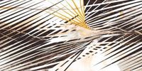 Декор Cerrad CALACATTA GOLD POLER DECOR B