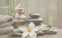 Декор Cersanit OLIVIA DECOR GREY SPA1 25X40