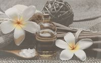Декор Cersanit OLIVIA DECOR GREY SPA2 25X40