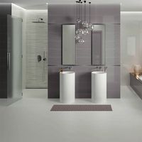 Декор Opoczno Meridian Escota White Inderto Sripes Silver 25x75 зображення 1