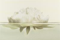 Декор Cersanit FLORA INSERTO PEONY 30X45