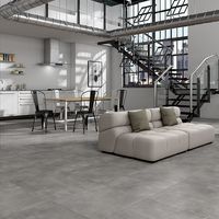 Плитка ECOCERAMIC BALTIMOR GRIS 60х120 изображение 1