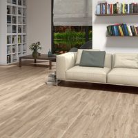 Плитка ECOCERAMIC KOOTENAI HAYA 20х120 зображення 1