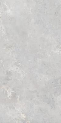 Плитка IRONFORGE LIGHT GREY STONELO+CARVING 60 x120
