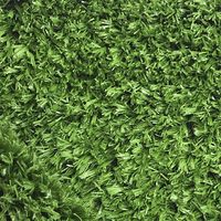 Искусственная трава EcoGrass SD-15