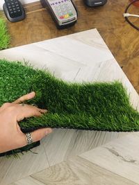 Штучна трава EcoGrass SD-35 зображення 1