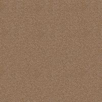Килимова плитка Modulyss Perpetual 221