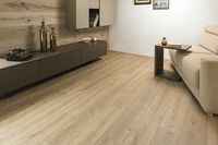 Ламинат Kaindl Natural Touch 8 mm Standard Plank Дуб EVOKE TREND K4421 изображение 1
