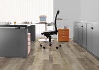 Ламинат Kaindl Natural Touch 8 mm Standard Plank Дуб FARCO TREND K4361 изображение 1