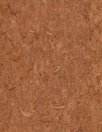 Лінолеум Grabo STANDART Diamond Standart Forte 4213-455-4 Темно-коричневий