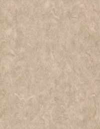 Лінолеум Grabo STANDART Diamond Standart Forte 4213-469-4 Бежевий