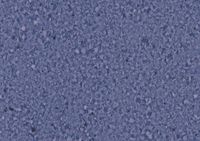 Лінолеум LG Hausys Durable Diorite 71839 синій