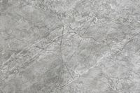 Плитка Gani Marble LSZ9020 Snow grey