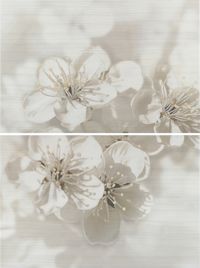 Декор Opoczno Mirta Inserto Flowers