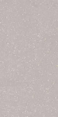 Плитка Paradyz MOONDUST SILVER GRES mat 60x120