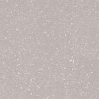 Плитка Paradyz MOONDUST SILVER GRES poler 60x60