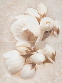 Декор Opoczno Nizza Inserto Flower