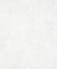 Обои MARBURG Loft Superior 34134