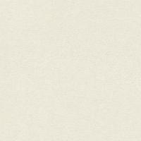 Обои Rasch Composition 554410