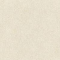 Обои Rasch Raymond 957334