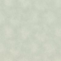 Обои Rasch Raymond 957358