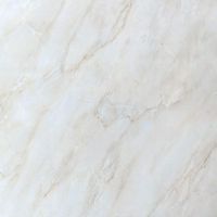 ODKA66203