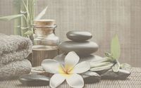 Декор Cersanit Olivia SPA 1 серая