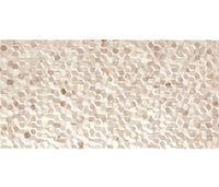 Плитка Alaplana Bee BEIGE 50x25