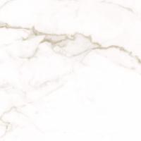 Плитка Allore Group Alcora Gold FL 60x60