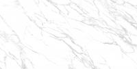 Плитка Allore Group LAZZARO PEARL FL 60x120