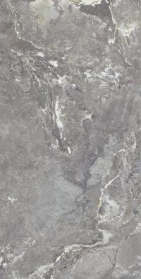 Плитка Allore Group Snake stone Grey 120x60 Mat зображення 1