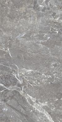 Плитка Allore Group Snake stone Grey 120x60 Mat зображення 2