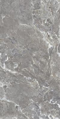 Плитка Allore Group Snake stone Grey 120x60 Mat зображення 7