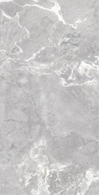 Плитка Allore Group Snake stone Silver 120x60 Mat зображення 1