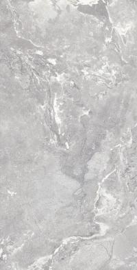 Плитка Allore Group Snake stone Silver 120x60 Mat зображення 2