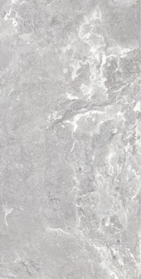 Плитка Allore Group Snake stone Silver 120x60 Mat зображення 3