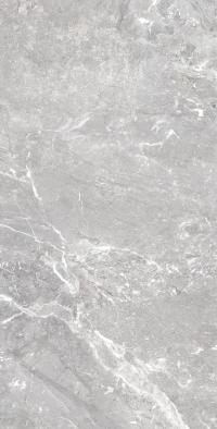 Плитка Allore Group Snake stone Silver 120x60 Mat зображення 4