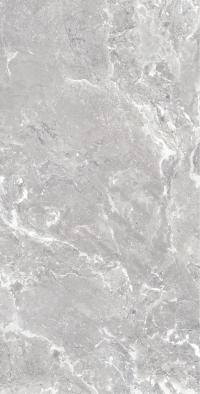 Плитка Allore Group Snake stone Silver 120x60 Mat зображення 7