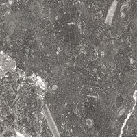 Плитка ALMERA CERAMICA China BASALTO GQG97860SP 600x600