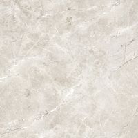 Плитка ALMERA CERAMICA China SENSATION GF66BJ03HM LIGHT GREY 600x600