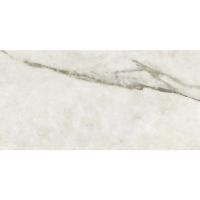 Плитка ALMERA CERAMICA Spain P. E. PUL PRESTIGE NATURAL 1200x600 зображення 2
