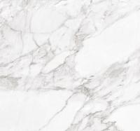 Плитка Argenta Ceramica CARRARA WHITE SHINE 60x60